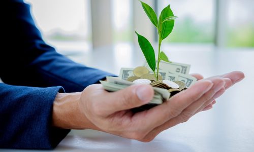 Close up of businessmen hands holding trees growth up on coin and banknote. Business growth concept.